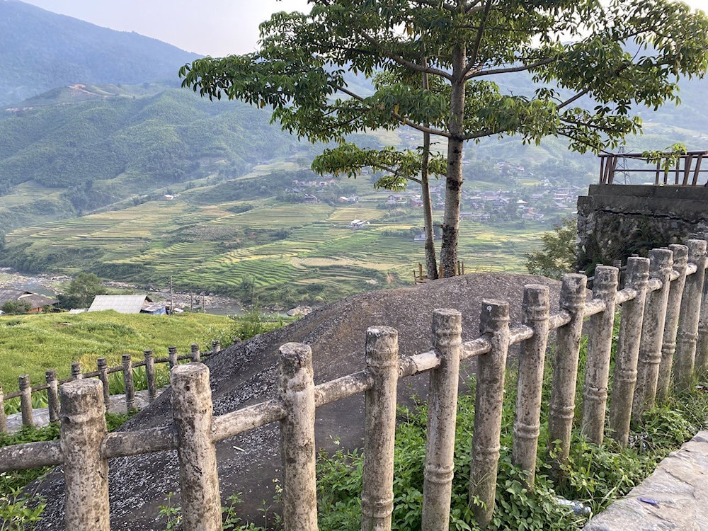 The rocks are scattered across an 8 km long piece of land and protected by a wooden fence